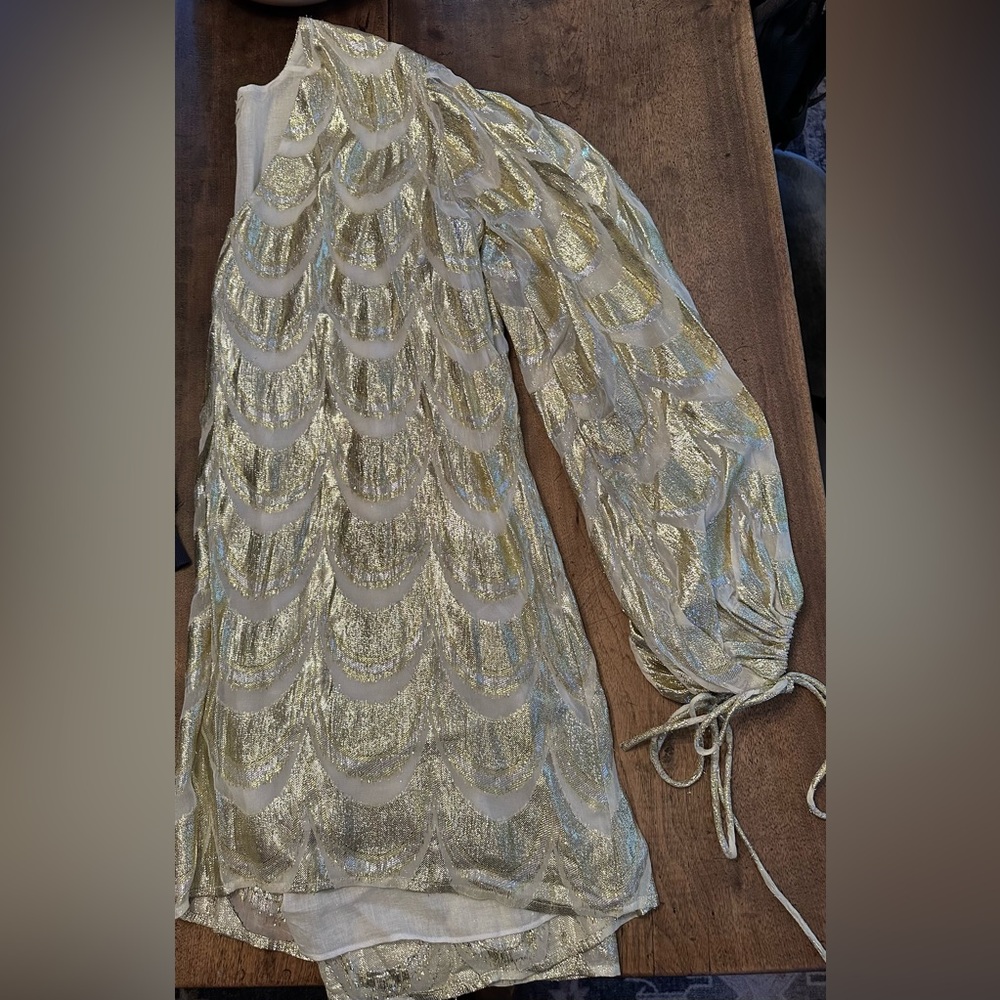 EUC Jens Pirate Booty for Free People Long Sleeve Gold Metallic Dress Size XL. - Picture 7 of 7